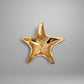 Gold star-shaped pendant on a gray background